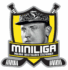 Miniliga Milana Rastislava Štefánika